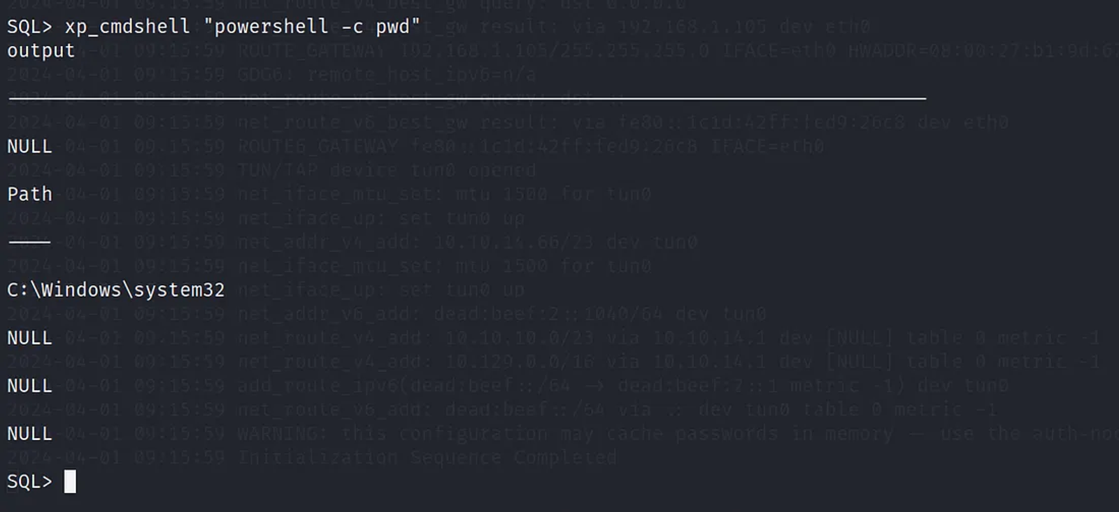 Printing the working Directory to see where we are in the Windows SQL Server.