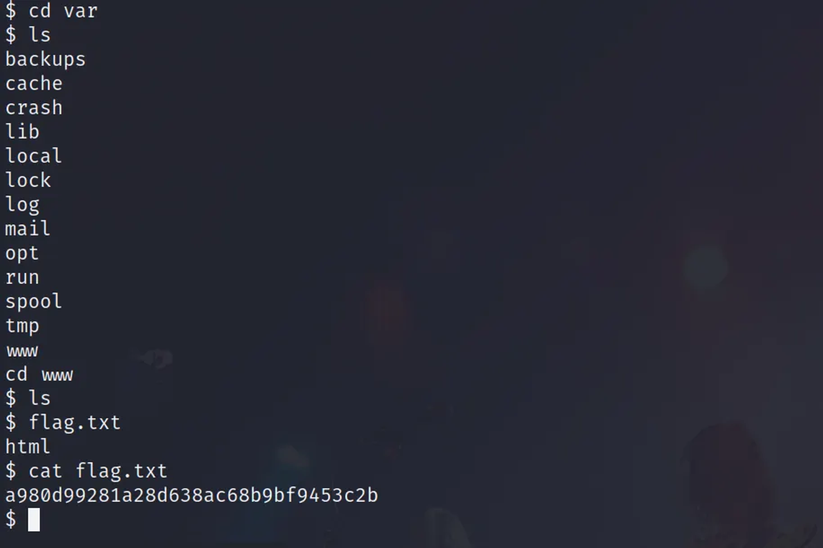 Navigating the directories in order to find the flag.txt