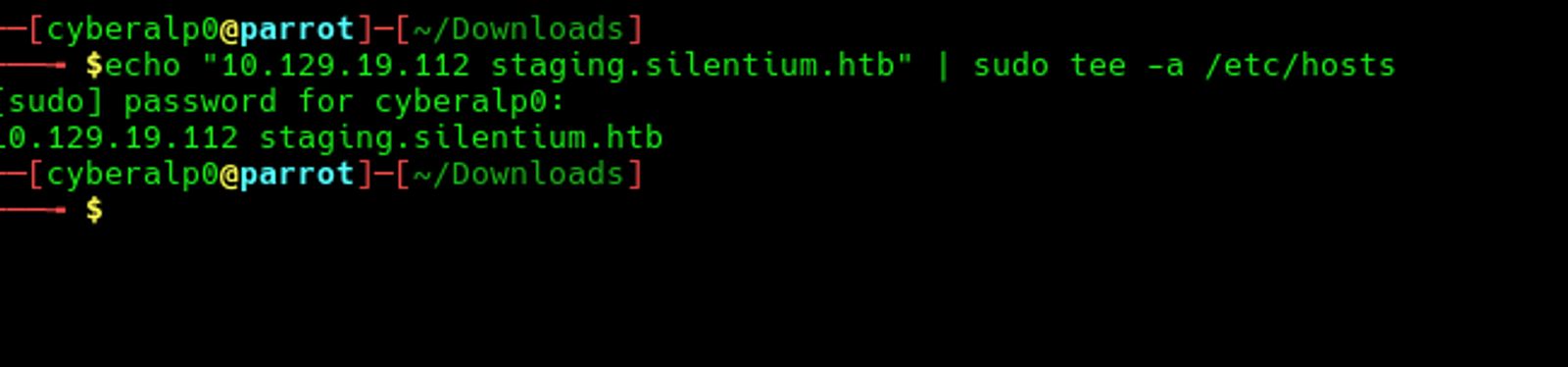 Adding the subdomain to the local DNS server.