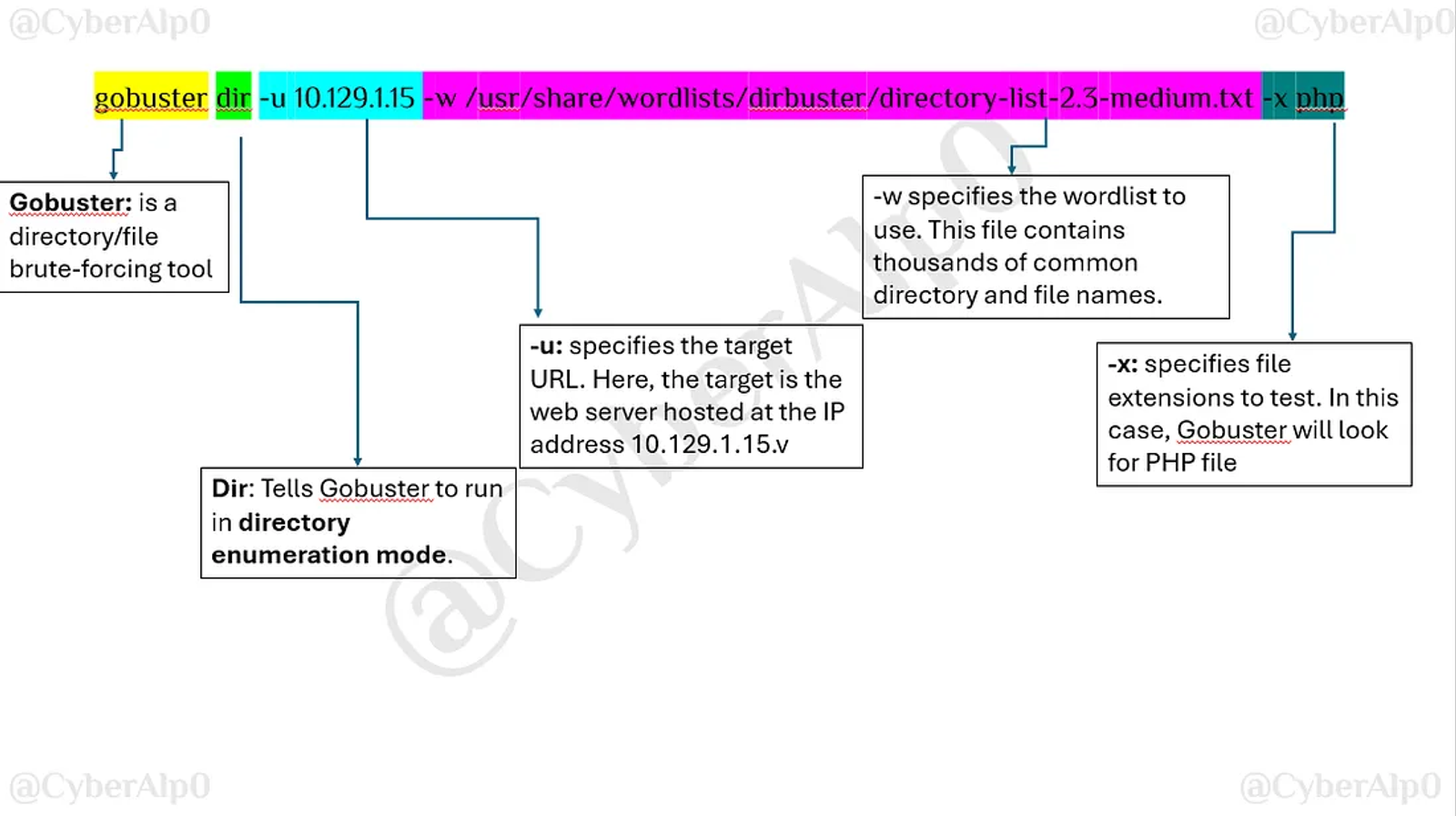 Break down of the command used to brute force the directories of the machine “Crocodile”.