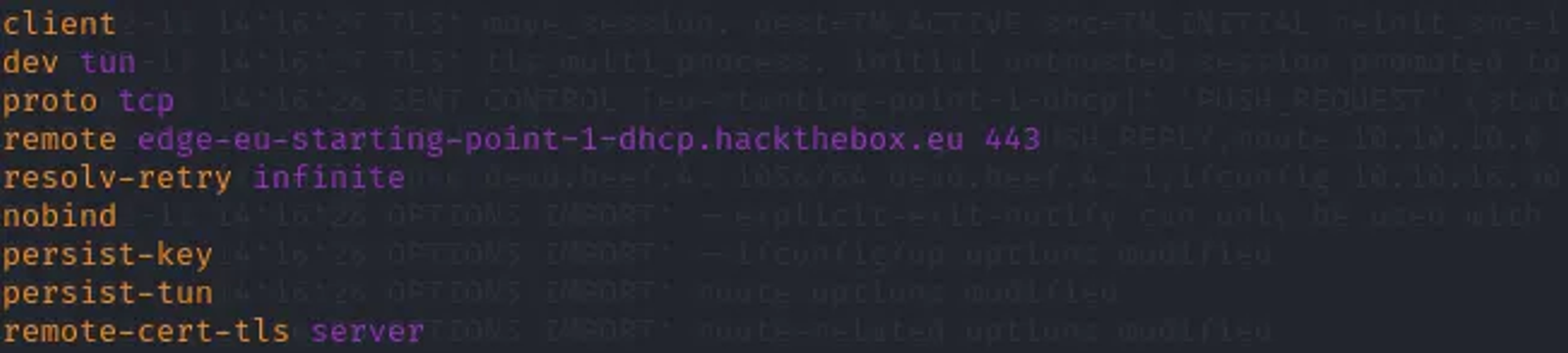 Changing the valuse of proto udp & the port of the remote server address.
