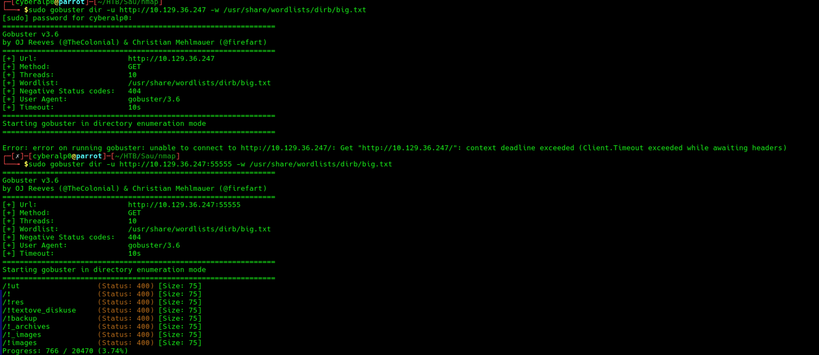 Directory brute forcing on the target's machine.