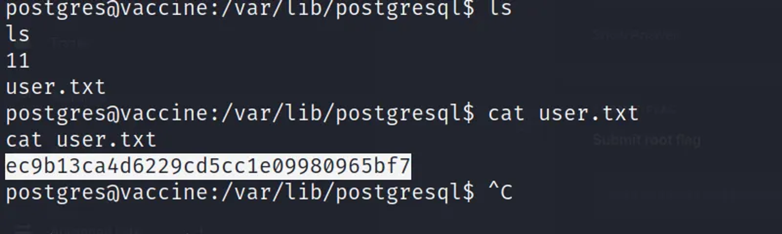 The user flag is ec9b13ca4d6229cd5cc1e09980965bf7
