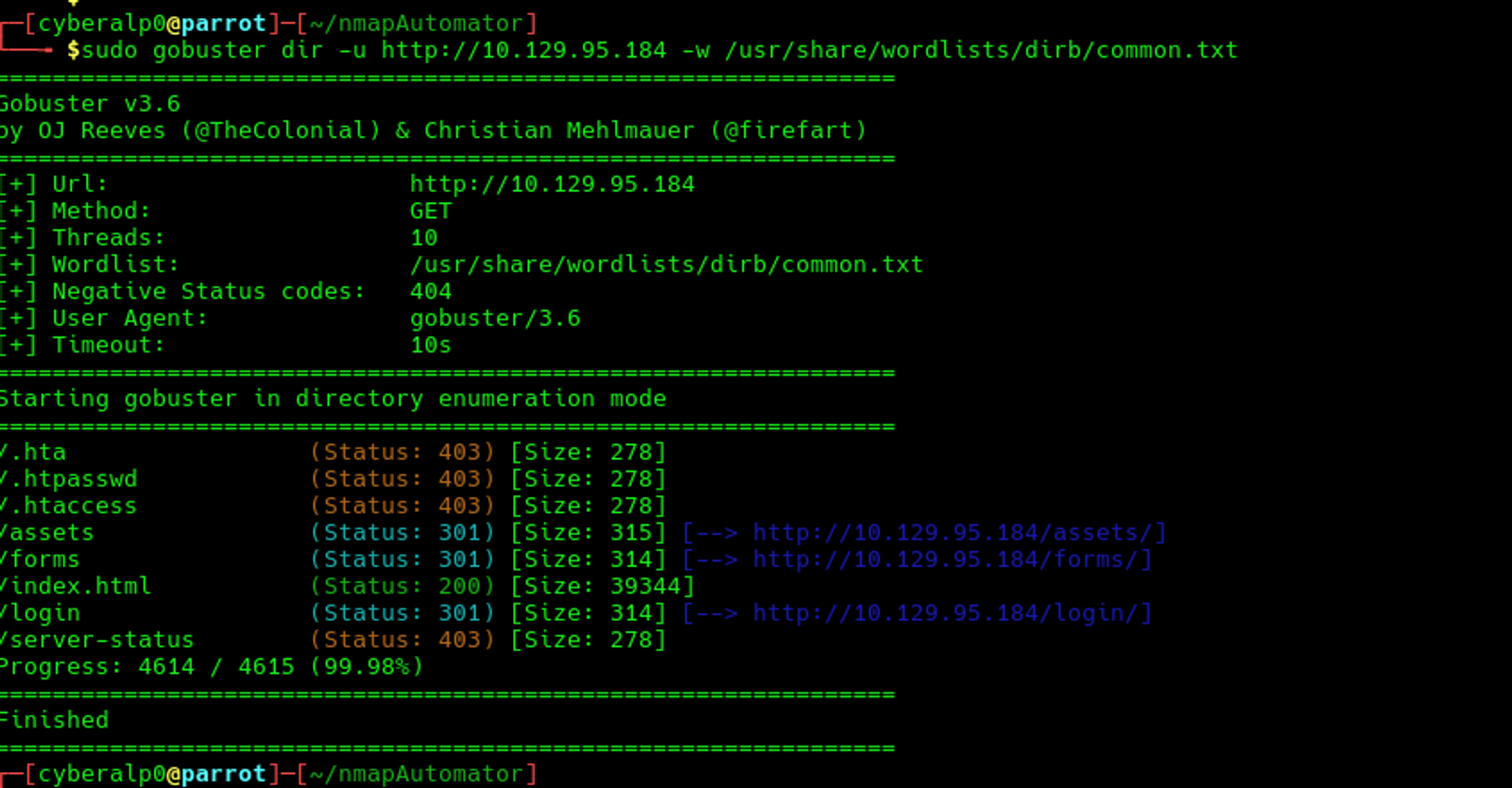 Preforming directory brute forcing on the target web application.