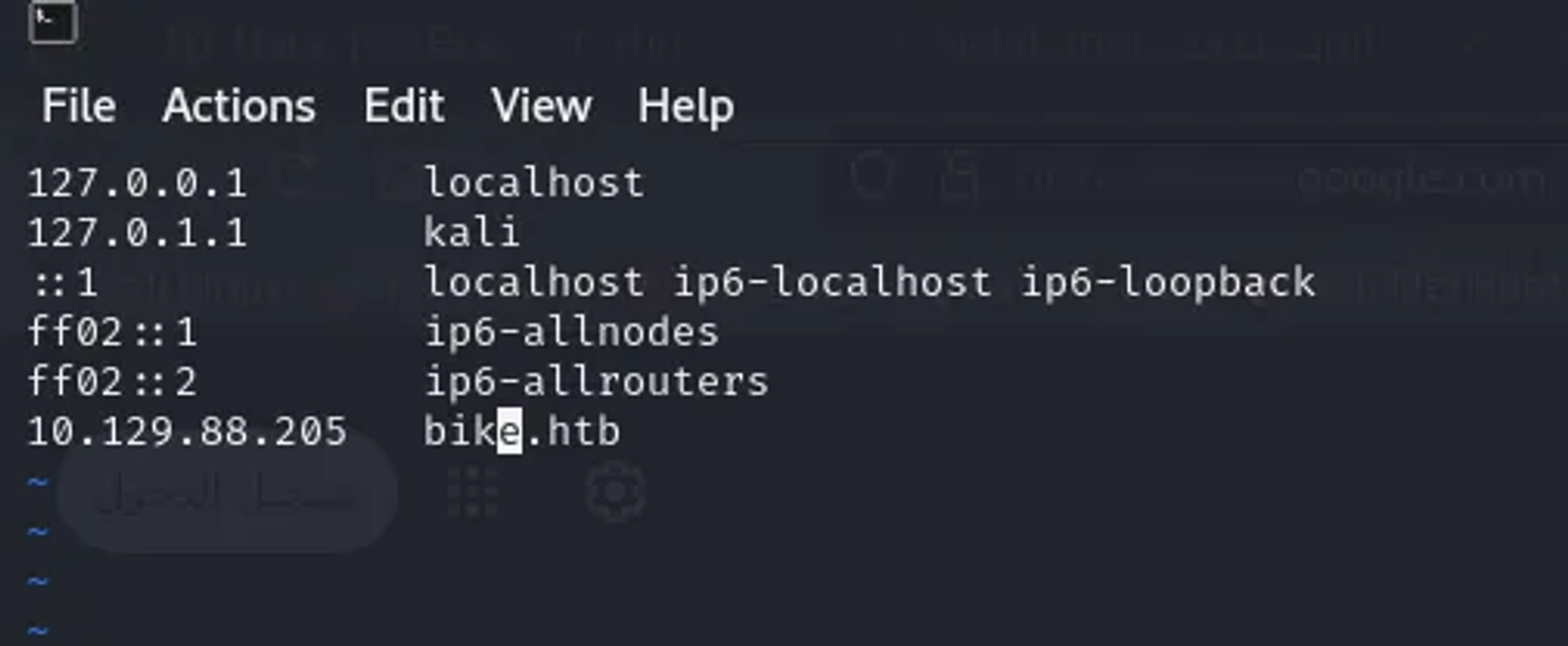 Adding the target machine in the local DNS to navigate the web service and analyze it.