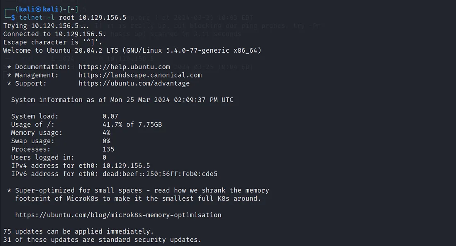 Connecting to the target using the telnet protocol with a “root” user