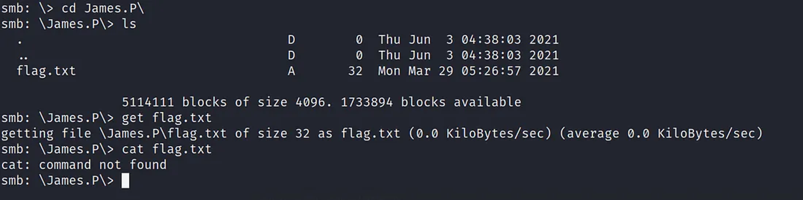 Downloading the Flag using get command.