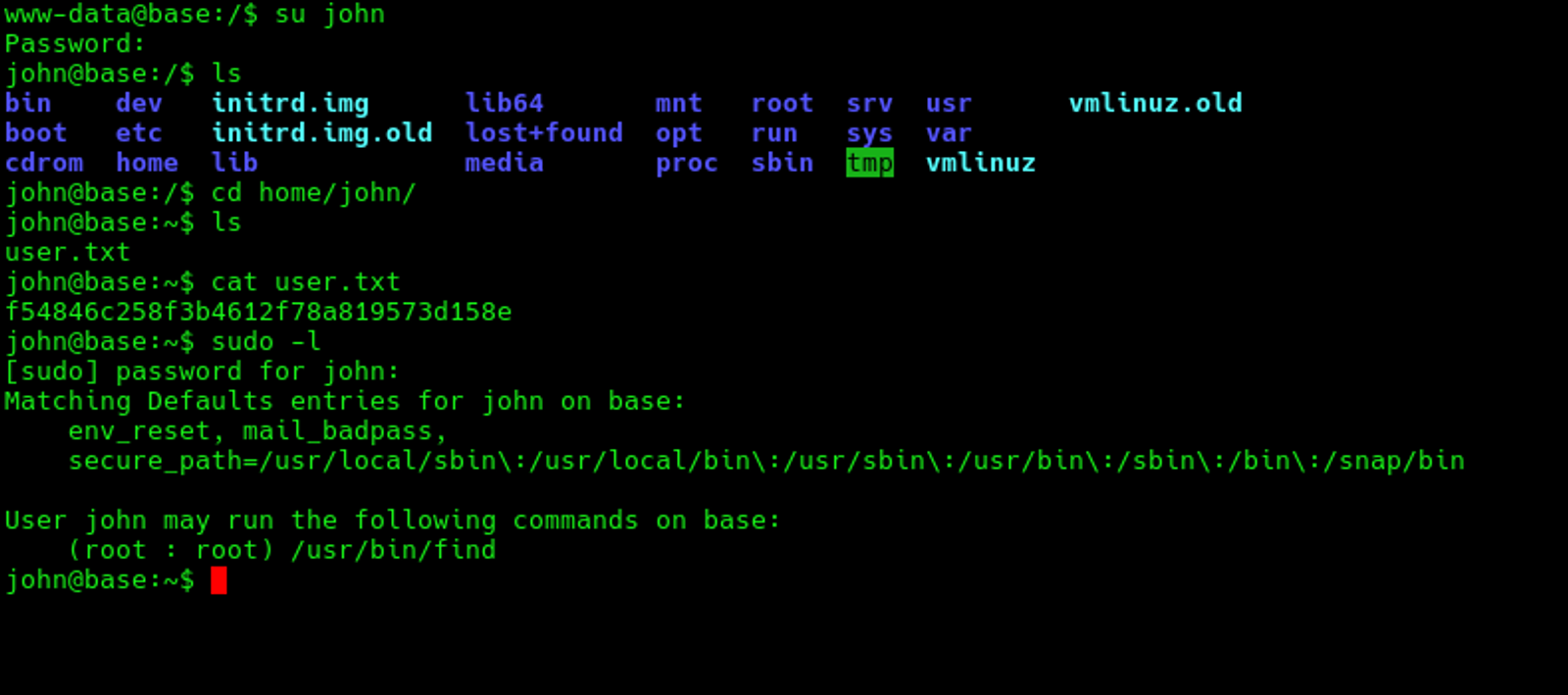 Switching to the user john instead of www-date.