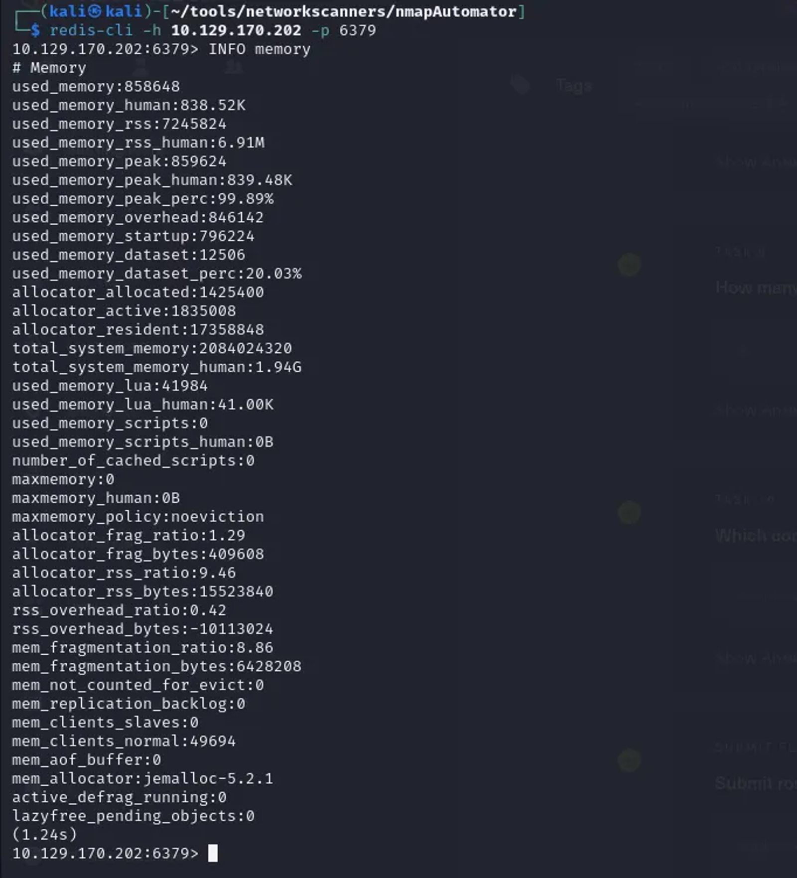 Interacting with the Redis DB and viewing more information about the memory.