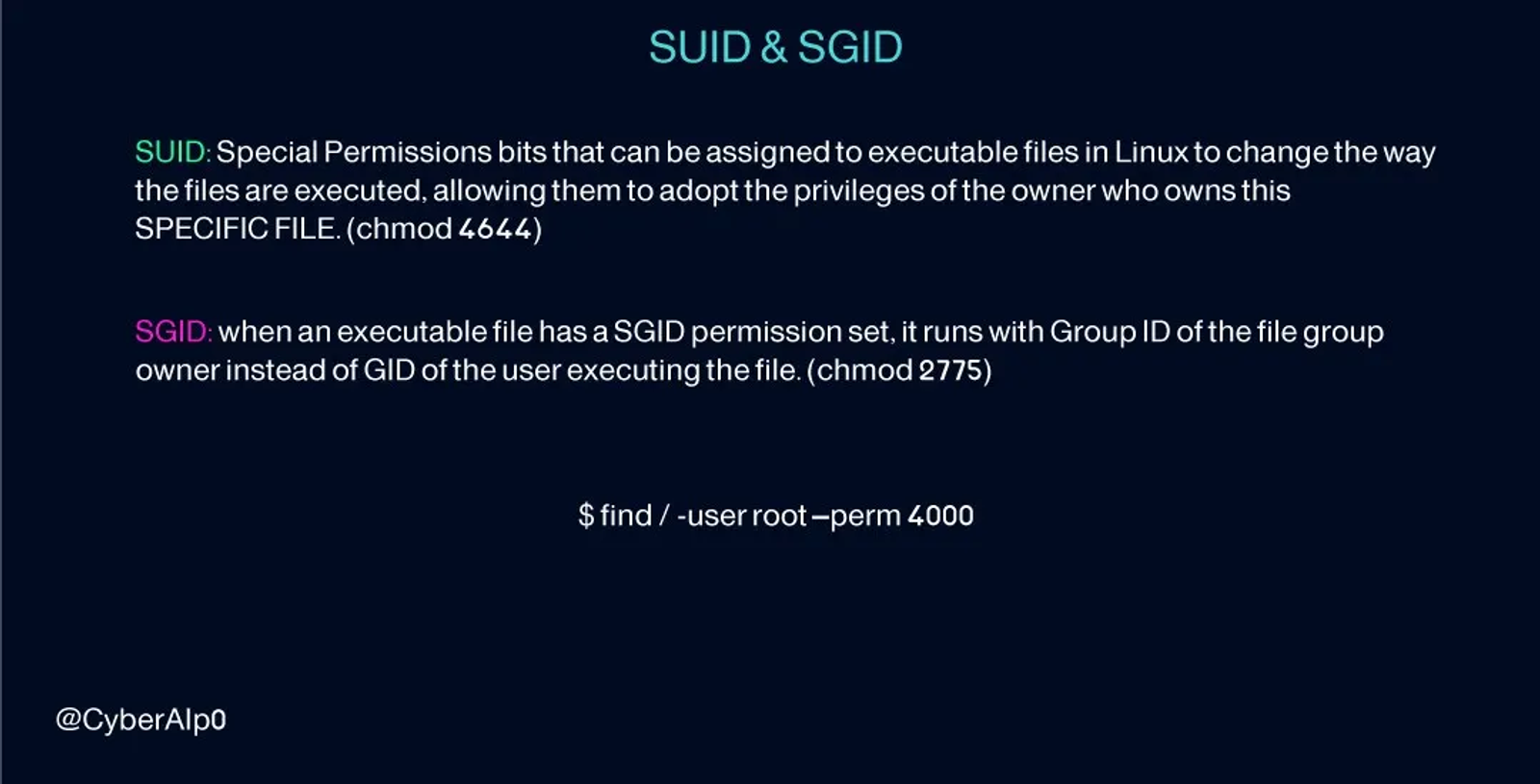 Summarization between SUID & SGID.