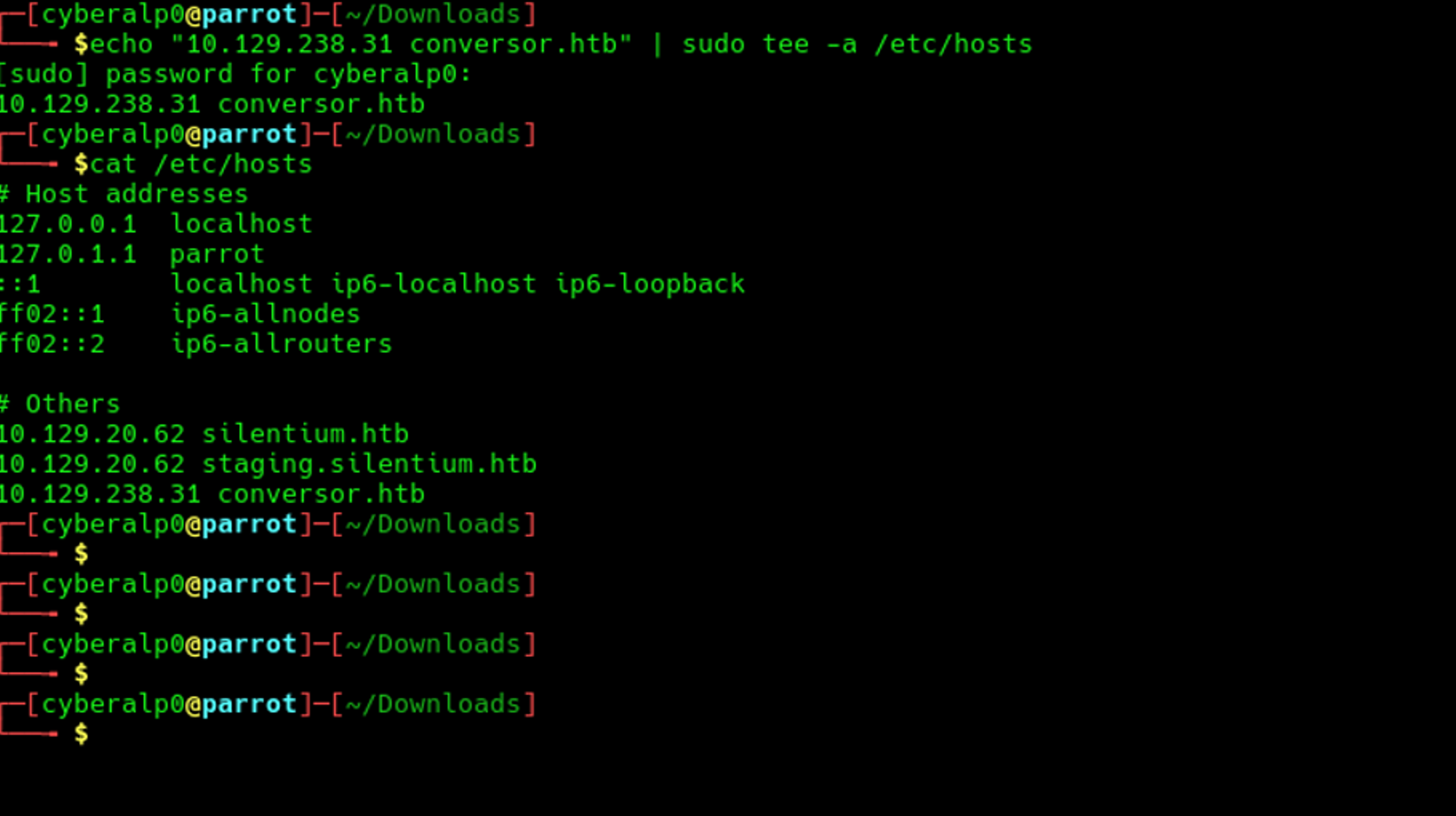 Resolving the target machine in the local DNS server to access it through the web.