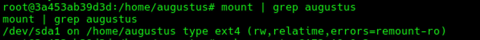 The augustus directory is linked with the container