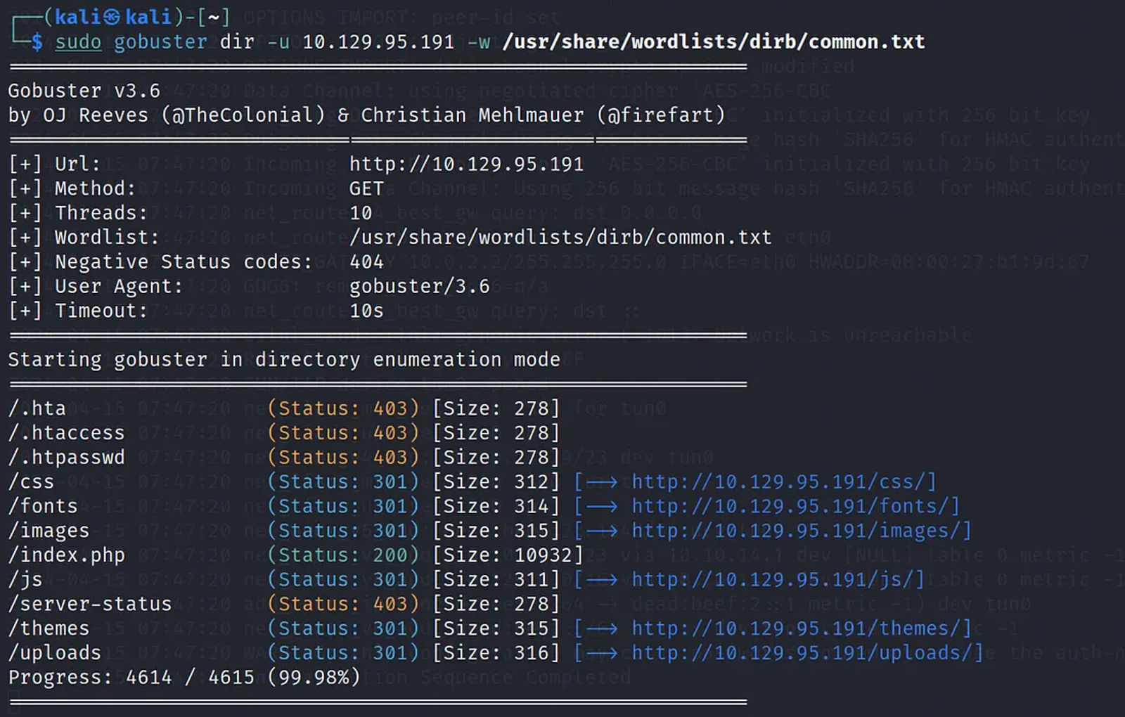 Enumerating the target using gobuster to find the possible files, directories, and subdomains.