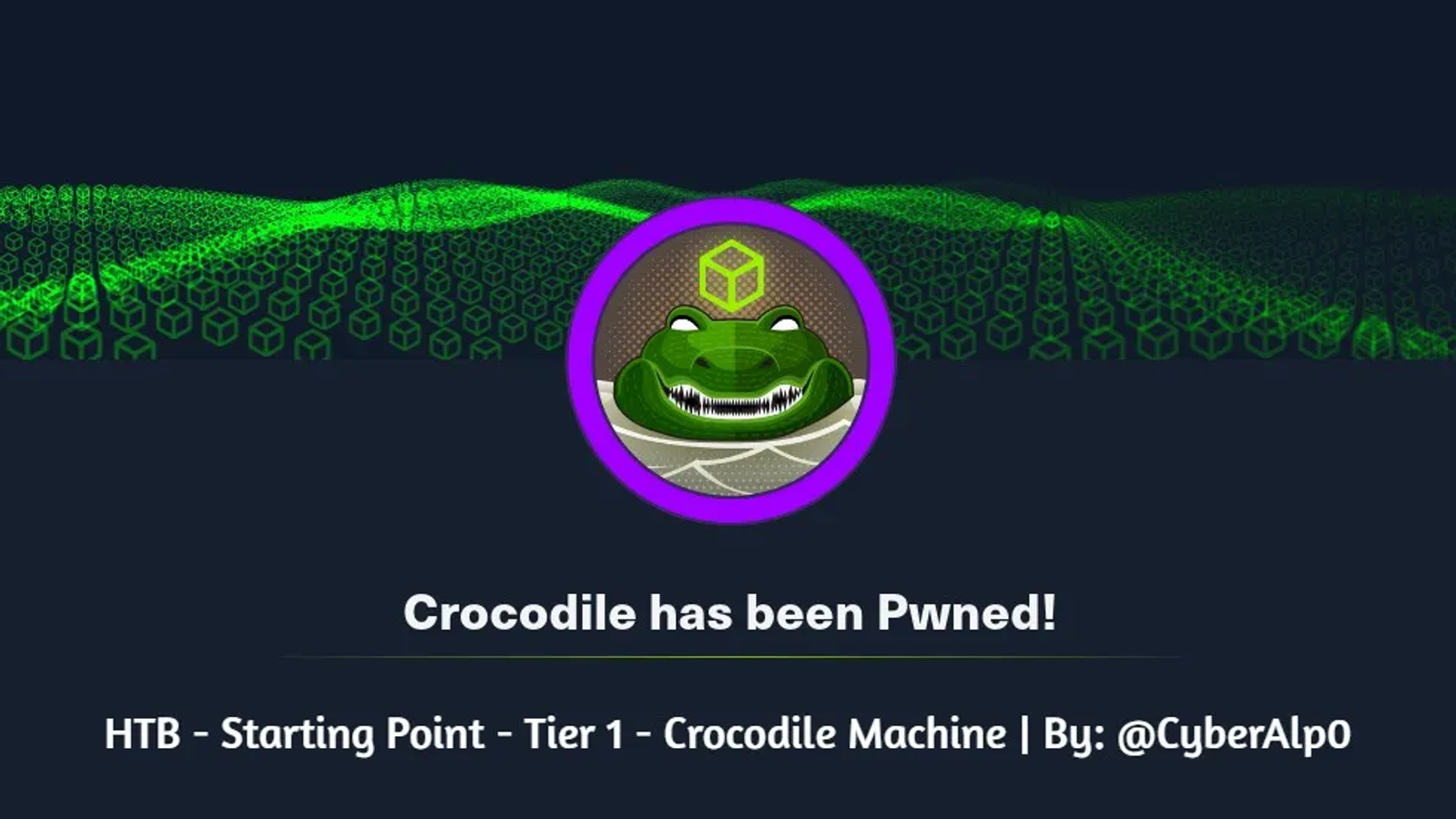 HTB Labs — Tier 1 — “Crocodile” Machine Walkthrough | By: CyberAlp0