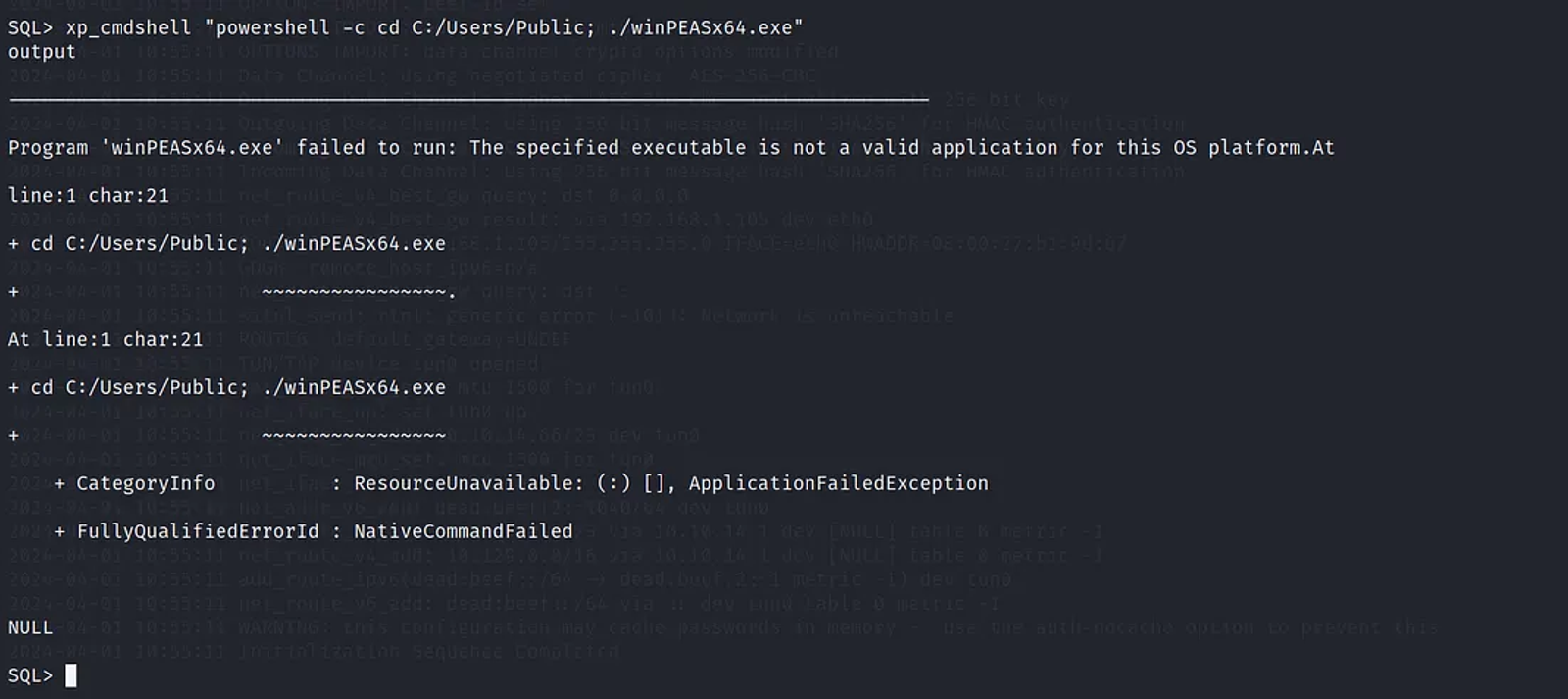 Error while executing the winPEASx64 script.