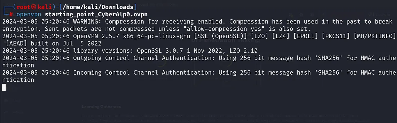 Connecting to the servers of the Starting Point Labs through the command “openvpn”.