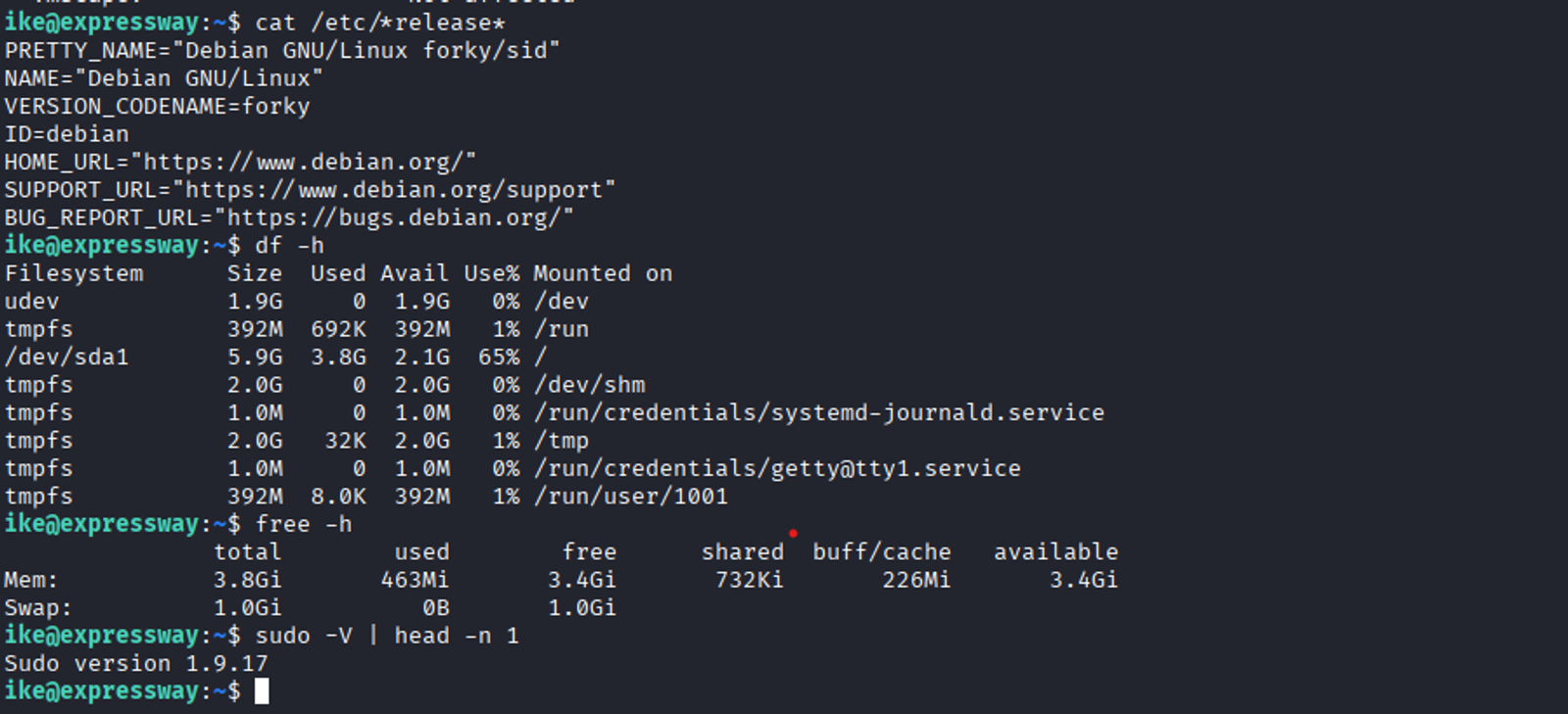 Detecting the sudo version of the machine.