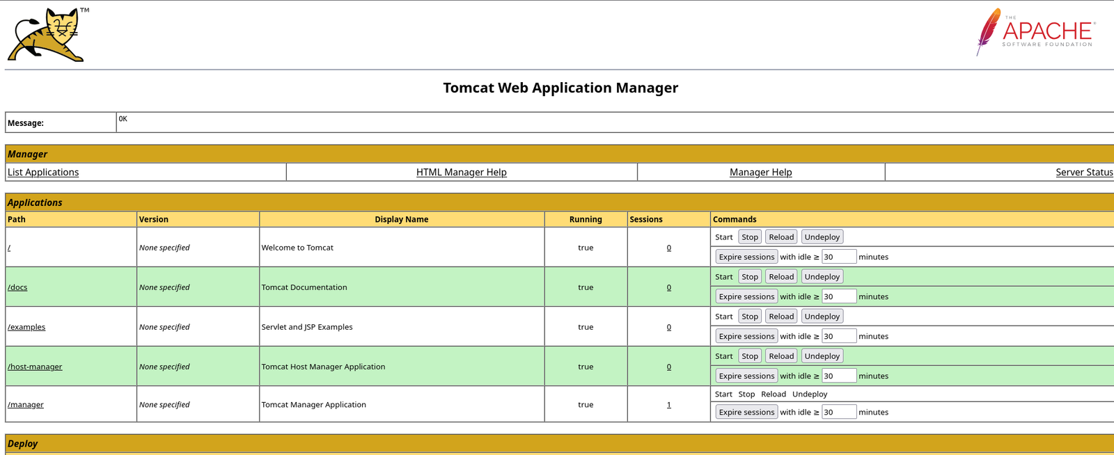 Tomcat Web Application Manager