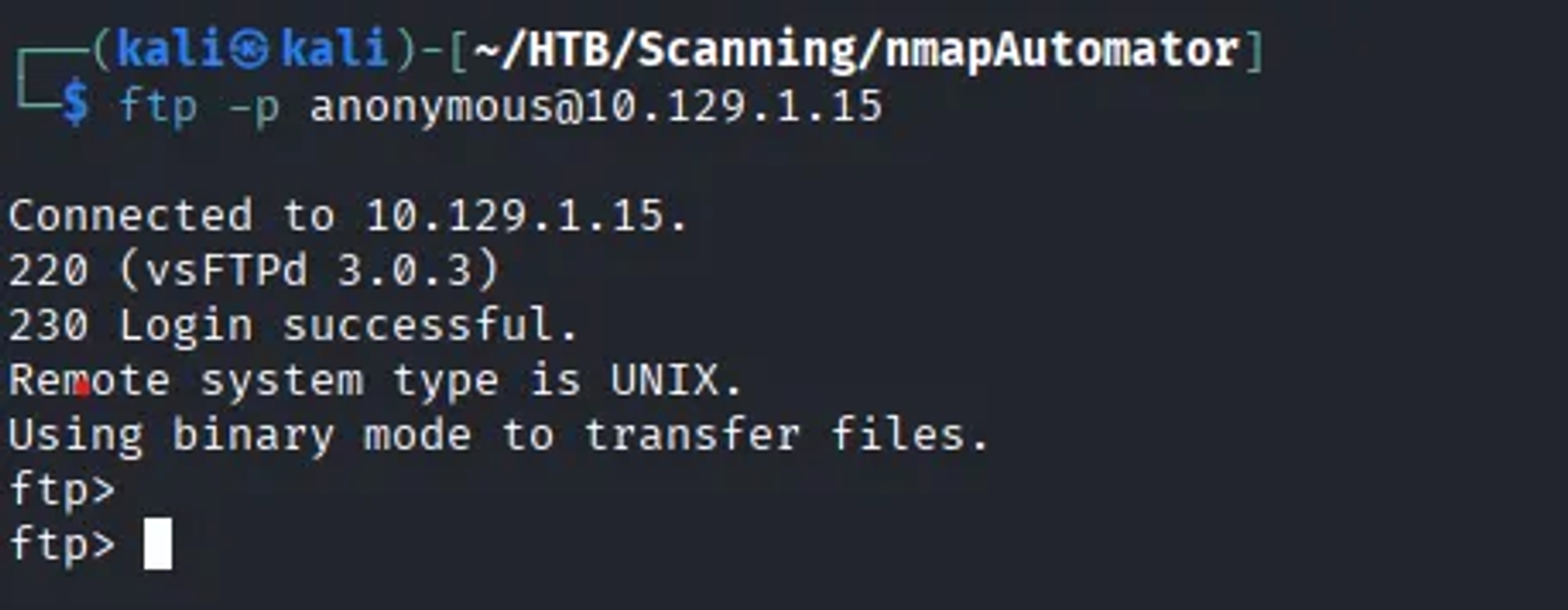 Logging to the machine that is vulnerable to FTP, on port 21, using anonymous login
