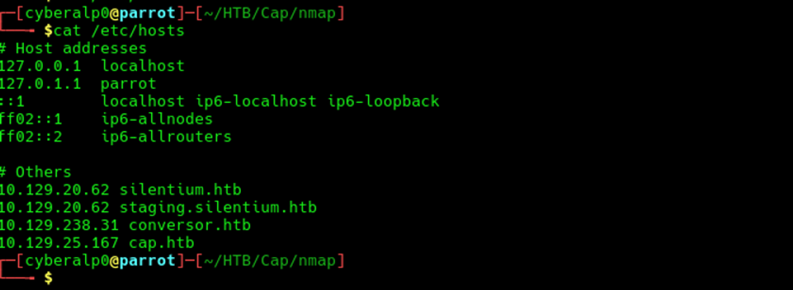 Resolving the target machine in the local DNS server to access it through the web. 