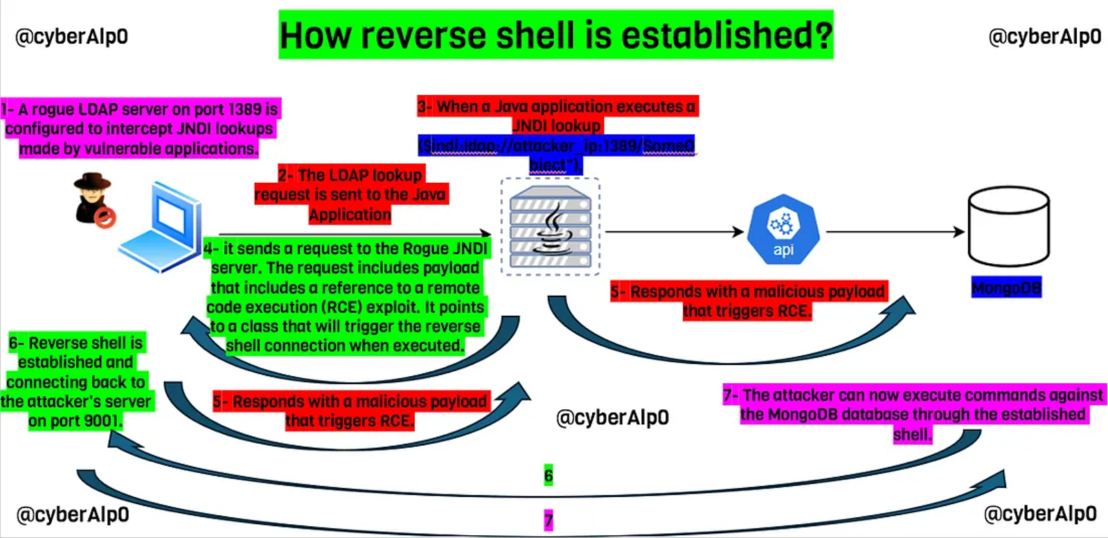 How is the reverse shell established?