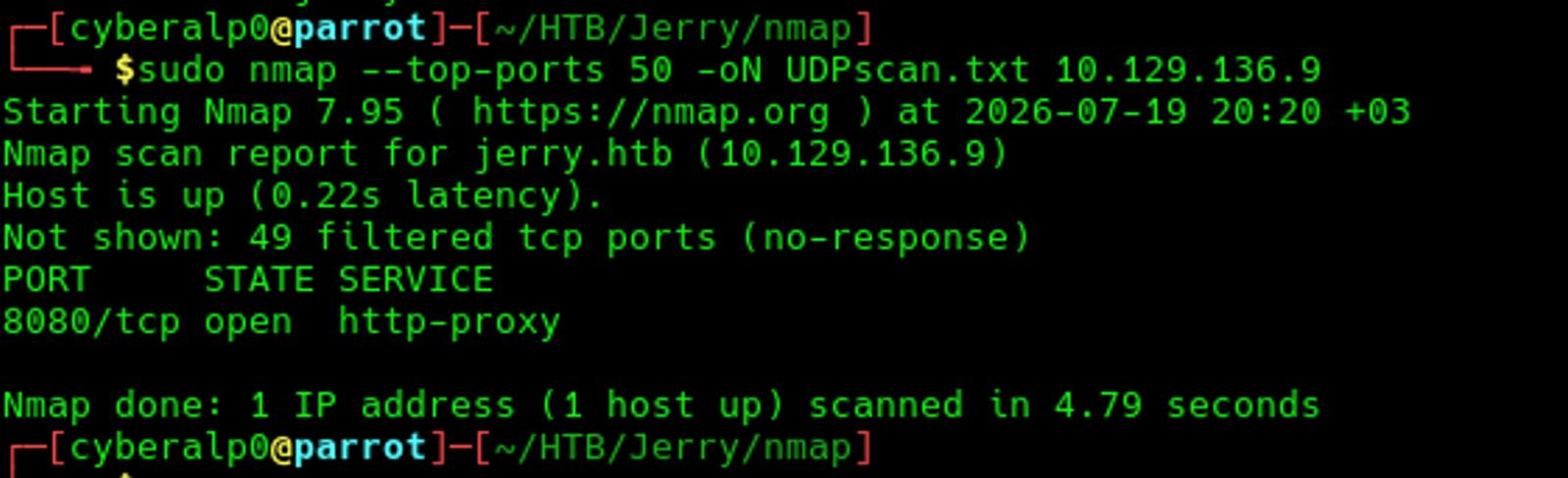 Preforming the UDP scan on the target