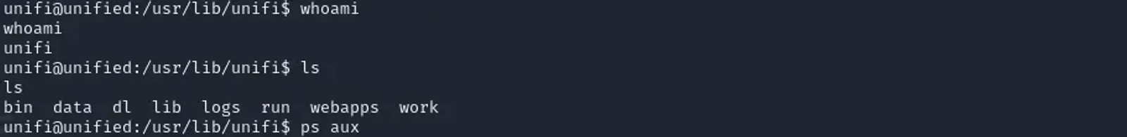 The reverse shell is now stable and interactive.