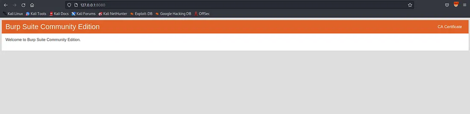 Downloading the CA Certificate to be configured in the browser.