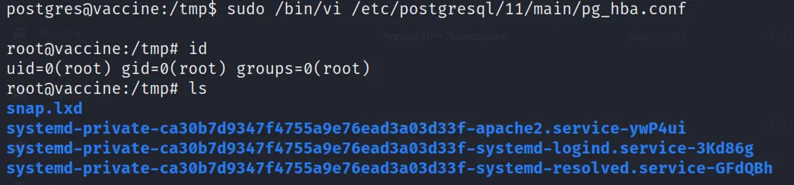 Gaining the root privileges after prompting a shell in the config file using the vi binary executable
