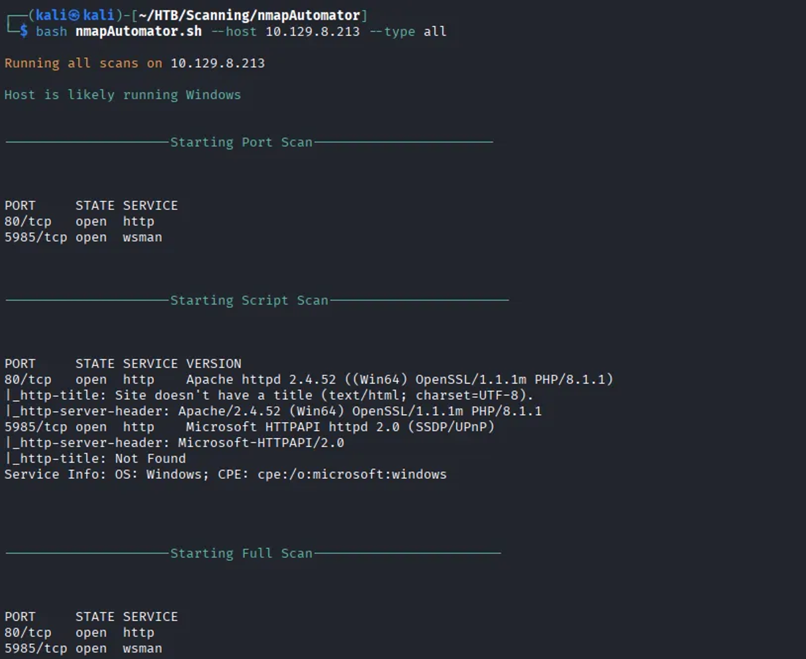 Scanning the web server using the NmapAutomator.