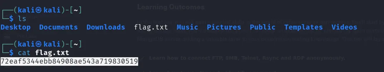 The root flag of the rsync machine from HackTheBox — Tier 0 — Starting Point Phase.