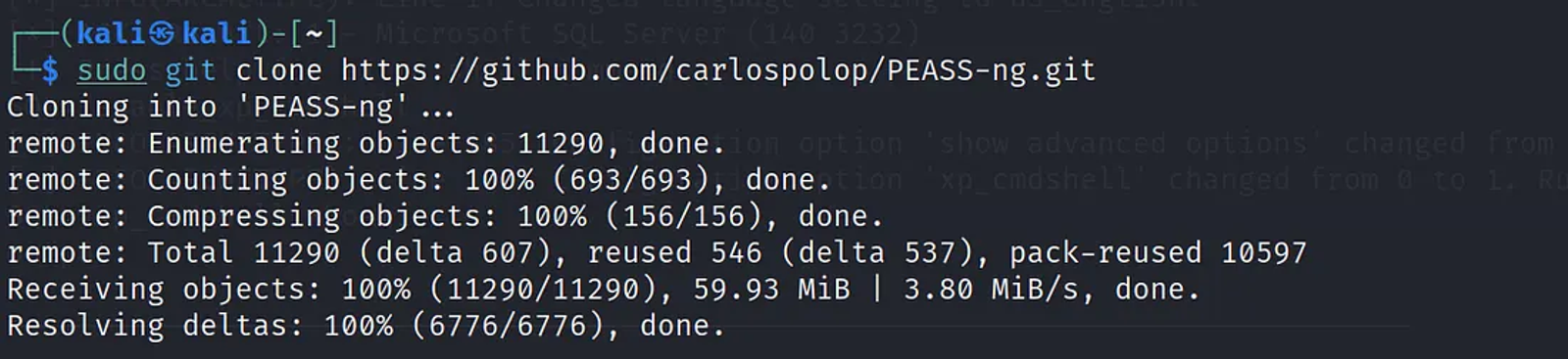 Installing winPEAS from GitHub