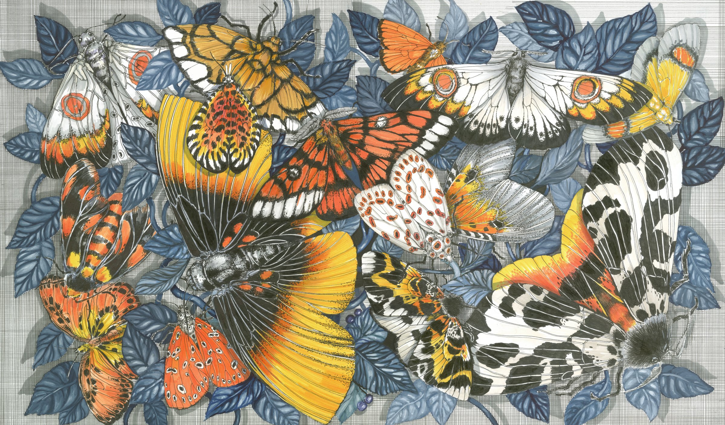 Painting of Butterflies