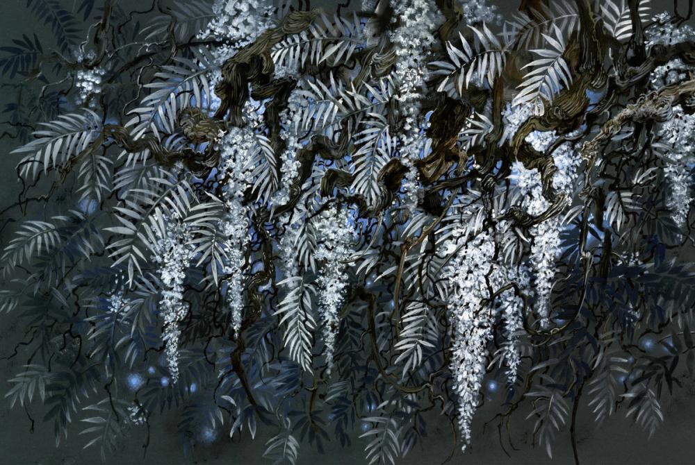 Wisteria