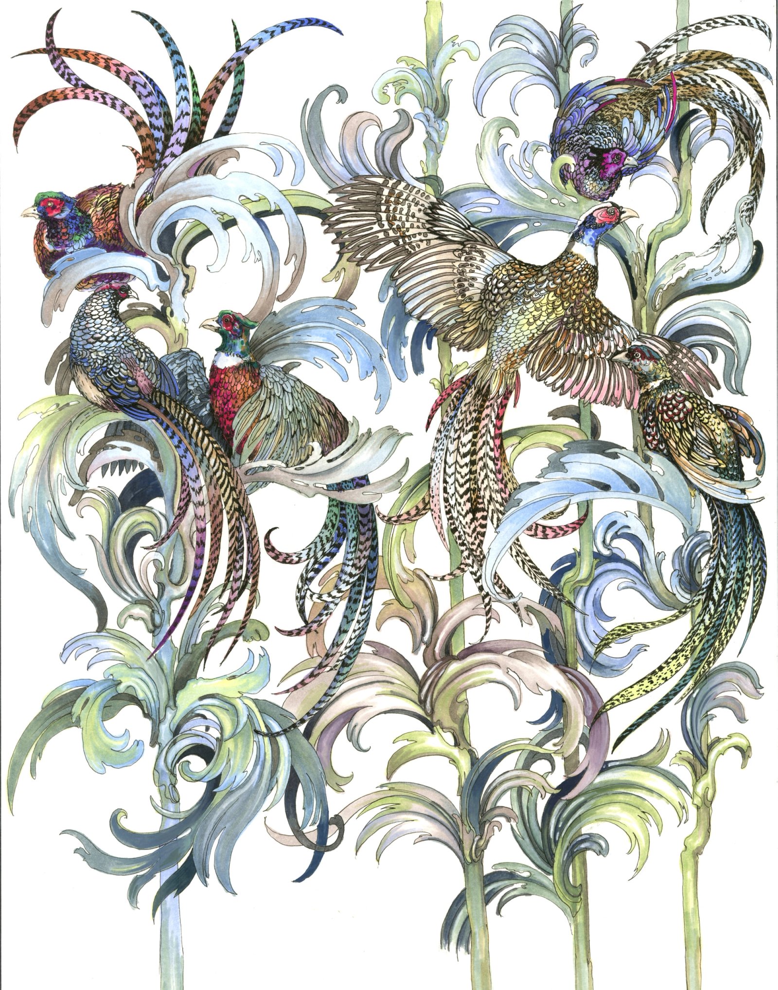 Light Pheasants - II