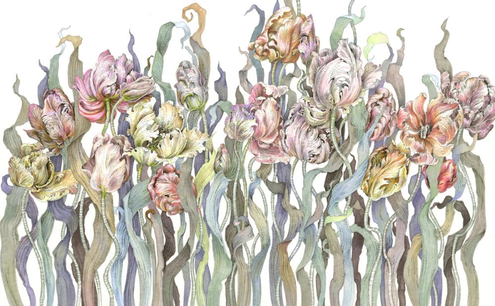 Tulips