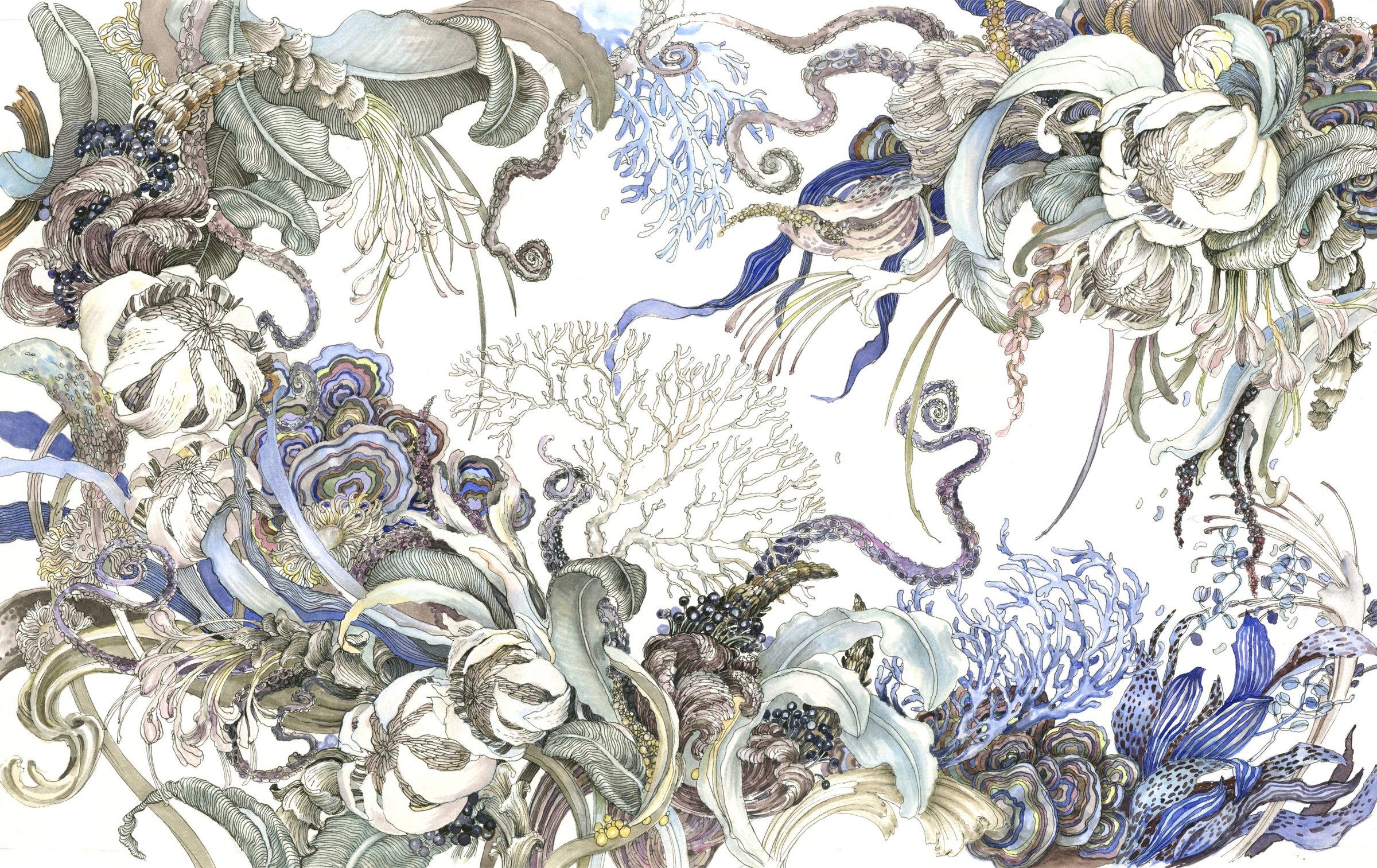 Painting of Exotic Protea