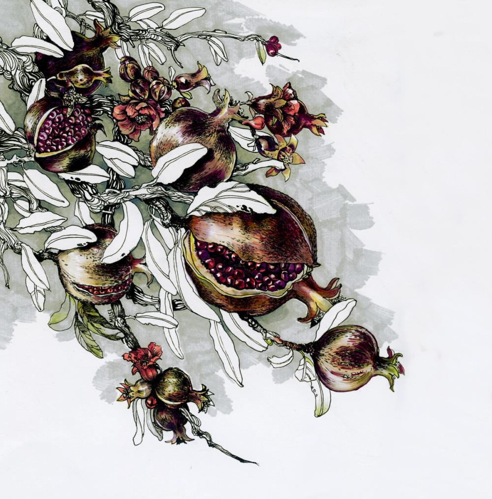 Pomegranate Branch