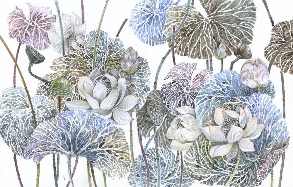 Lotus Flowers
