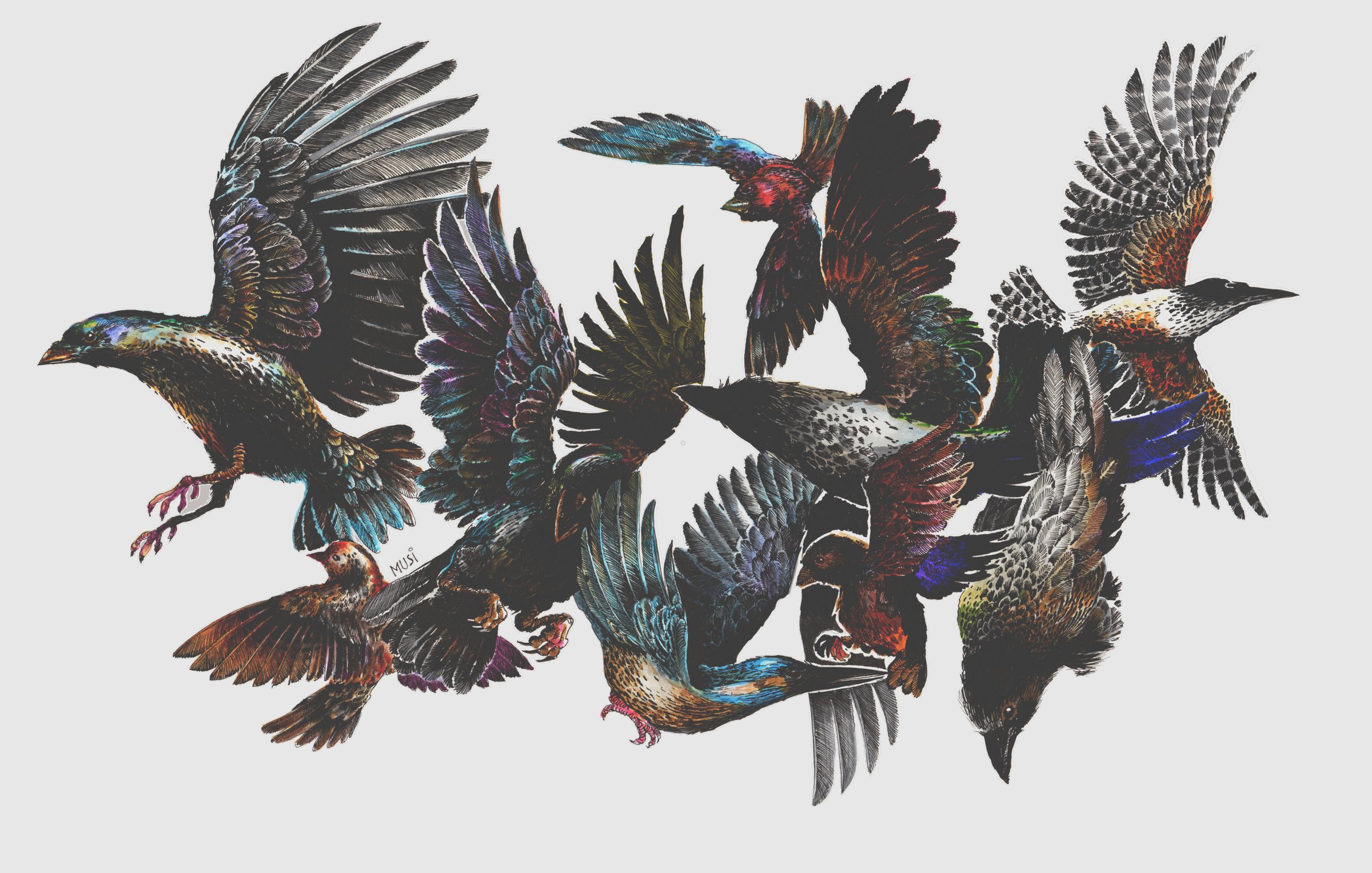 Painting of Frightened Birds