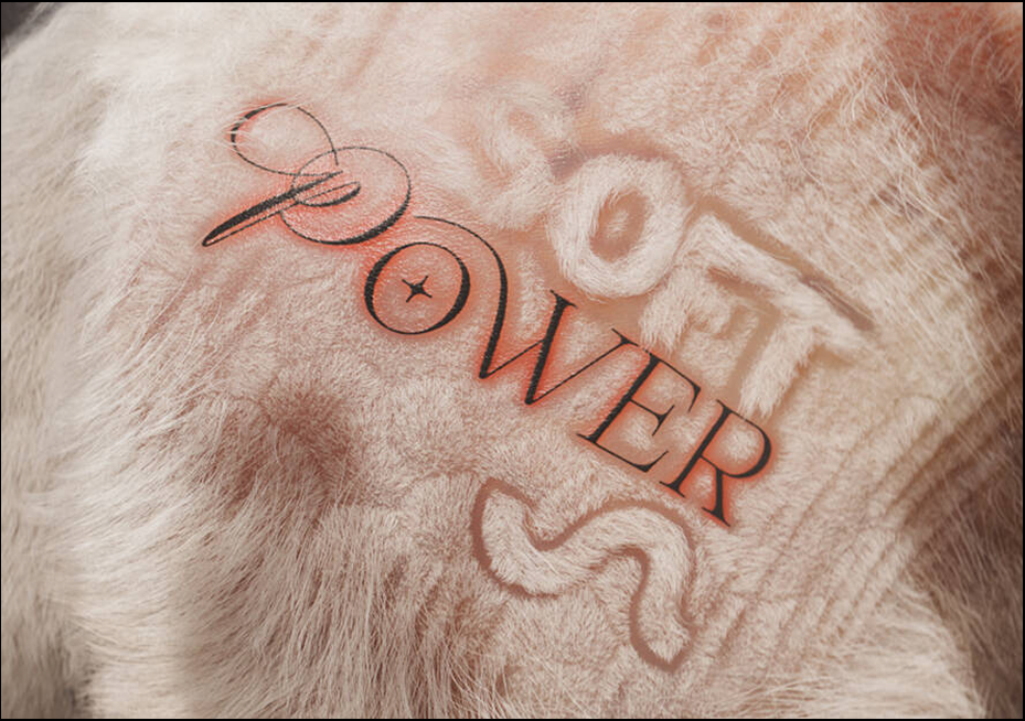 Soft power festival theme