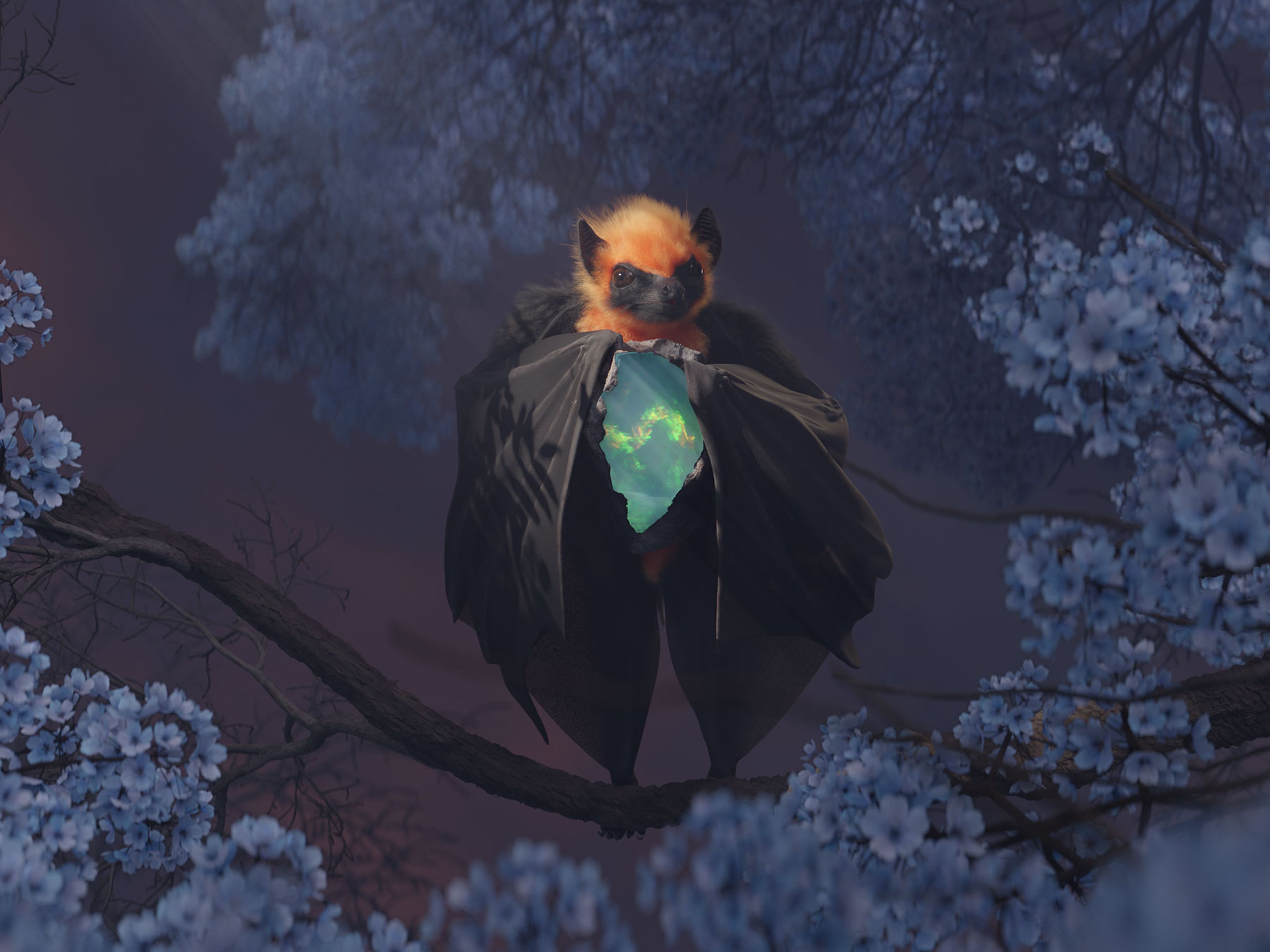 Unsound Adelaide bat