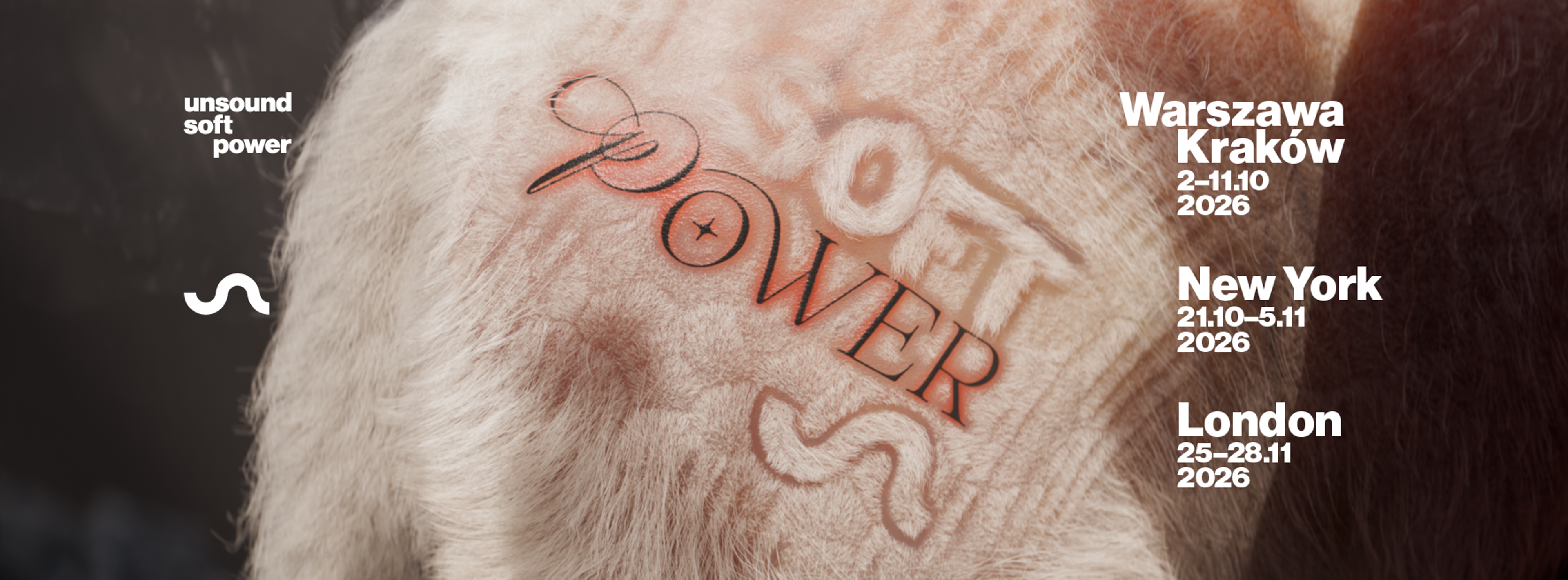 Unsound Soft Power